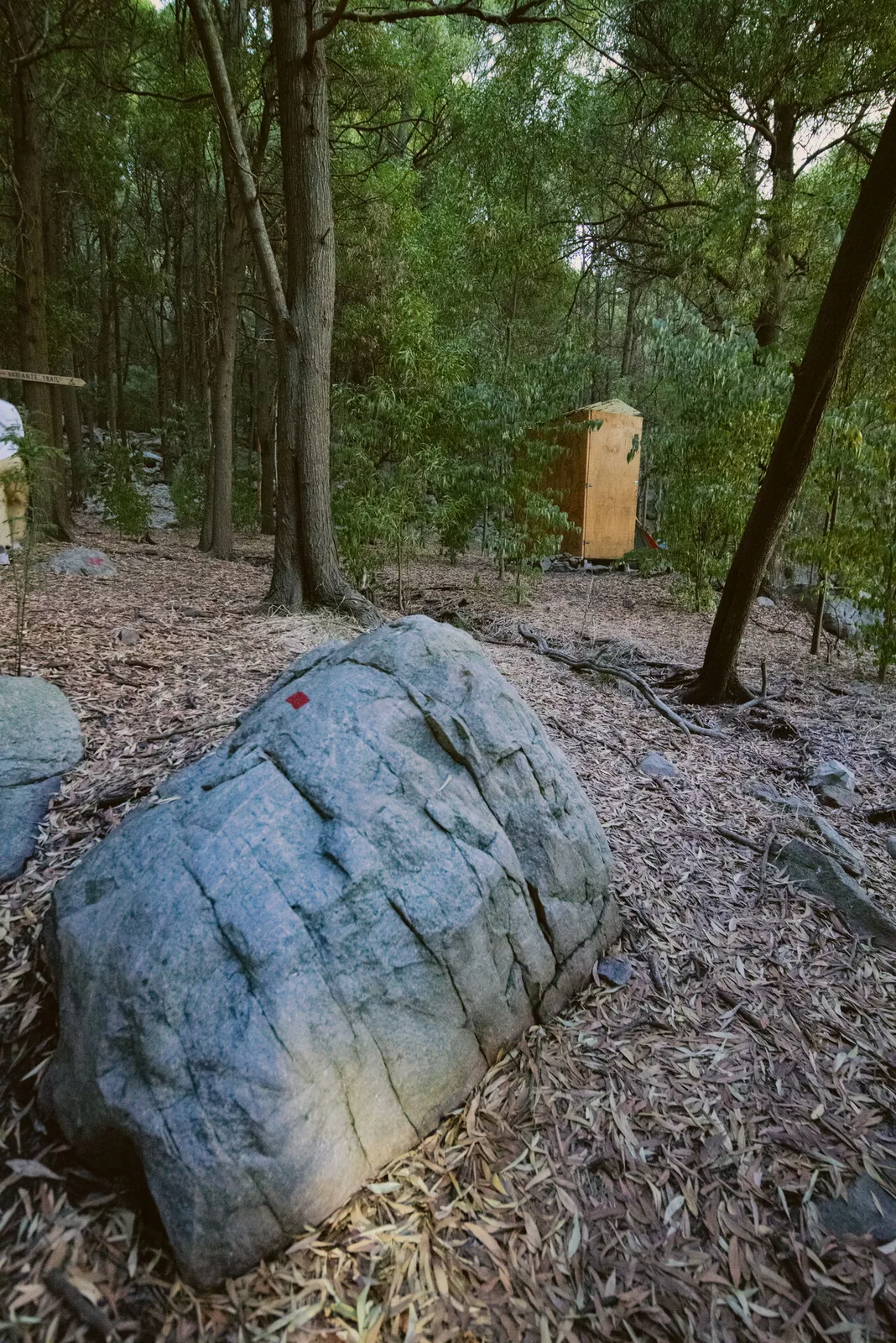 Corriendo entre las piedras